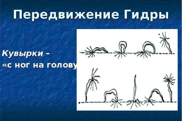 Забыл пароль кракен