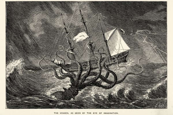 Kraken20at