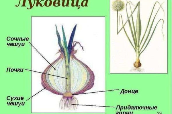 Кракен даркнет официальный сайт