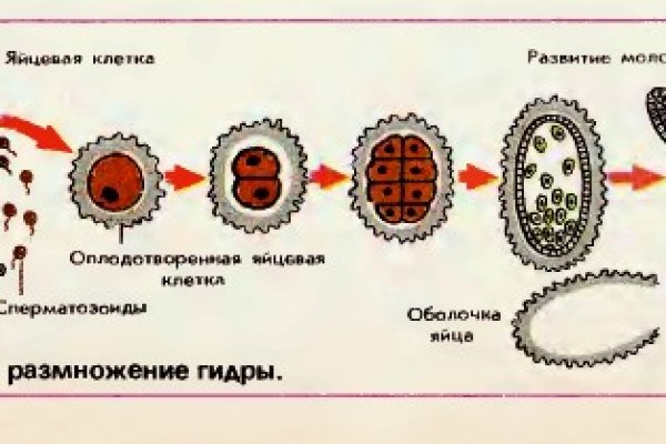 Кракен наркоман