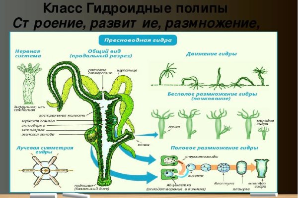 Кракен сайт kraken2