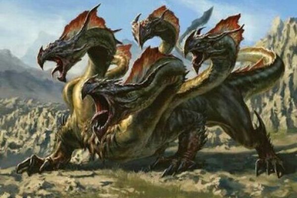 Kraken площадка