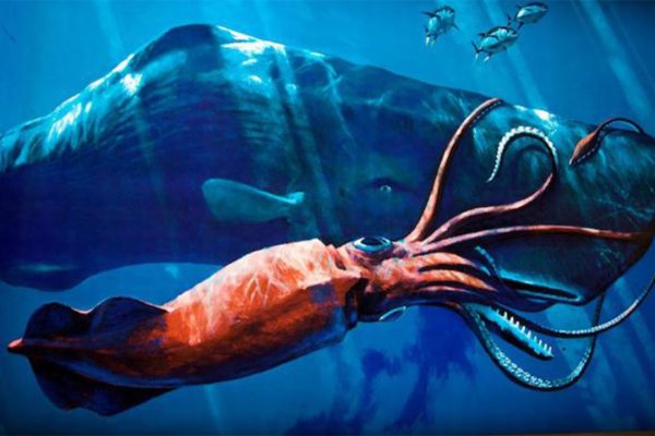 Kraken сайт kraken torion