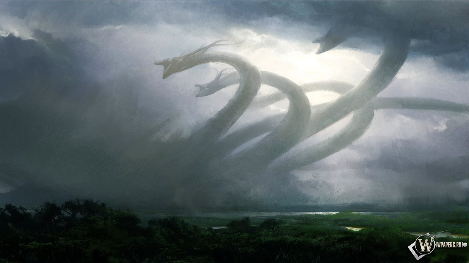 Kraken 12at