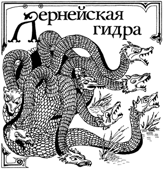 Прямая ссылка на кракен