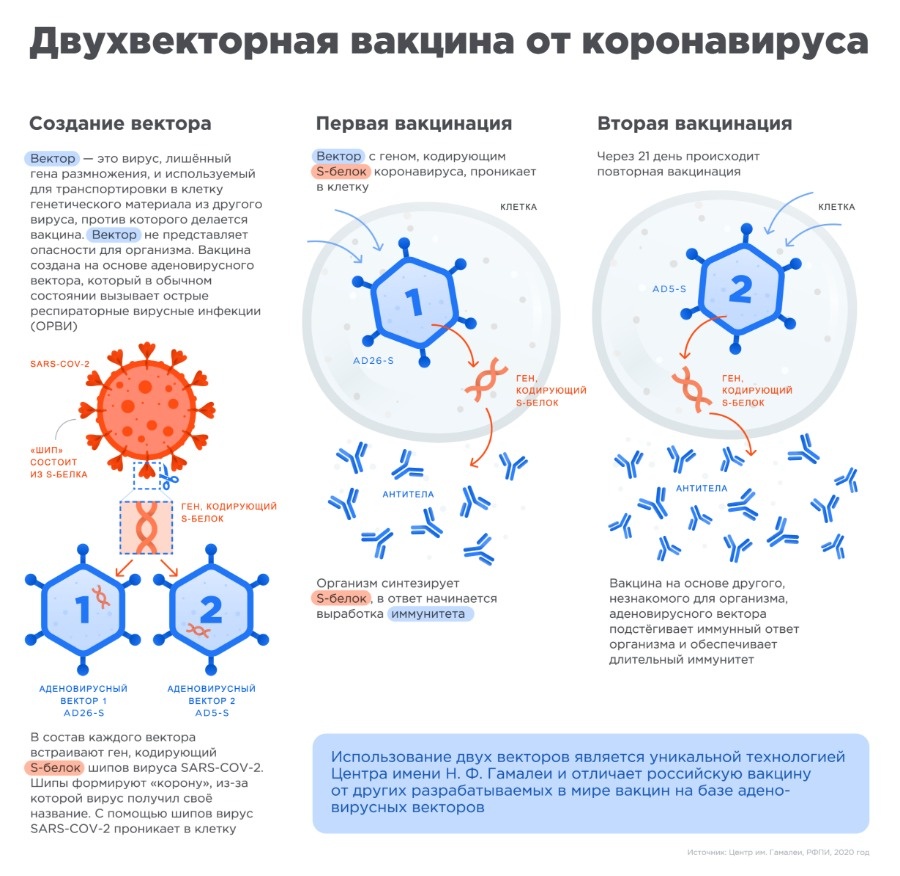 Кракен маркет только через тор скачать